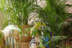 IMG_0457-rotated